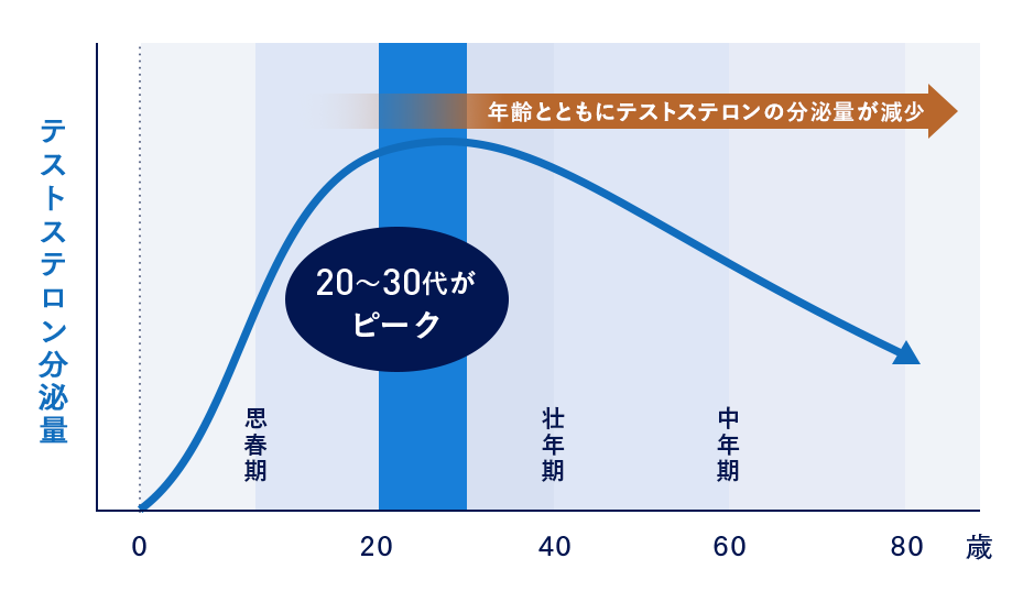 年齢とともにテストステロンの分泌量が減少