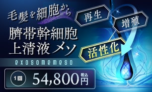 エレクトロポレーションメソ